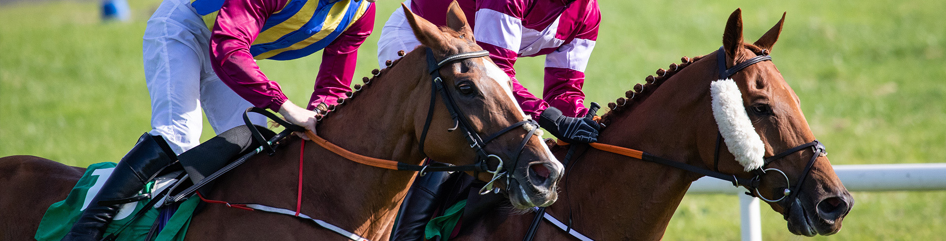 Close-up of two horses racing to a finish